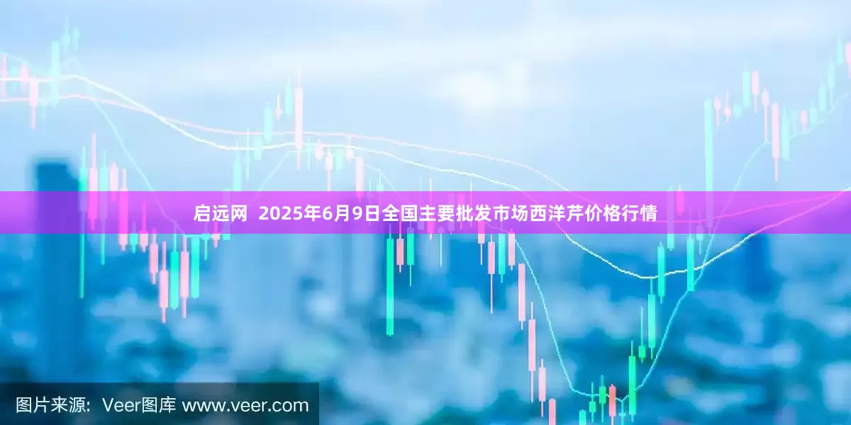 启远网  2025年6月9日全国主要批发市场西洋芹价格行情