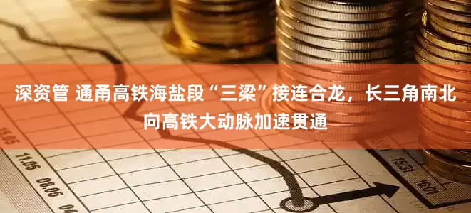 深资管 通甬高铁海盐段“三梁”接连合龙,长三角南北向高铁大动脉加速贯通